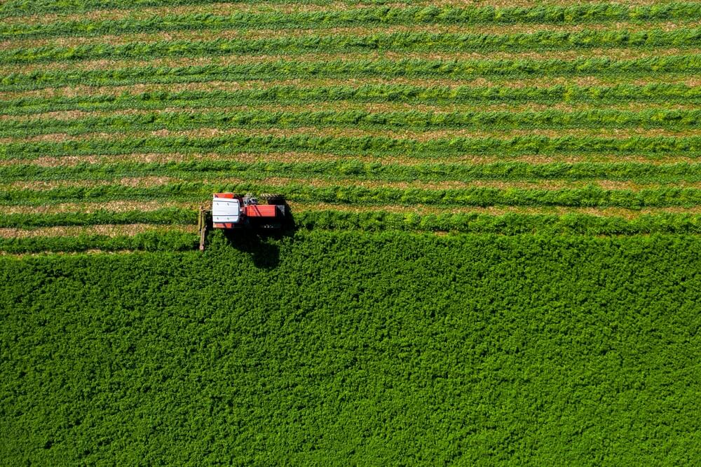 Imagem de uma plantação rural. Está passando por ela um trator.